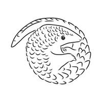 pangolin vector sketch