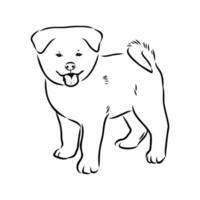 akita inu dog vector sketch