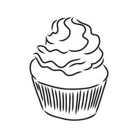 cupcake vector sketch