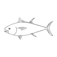 bosquejo del vector de atún