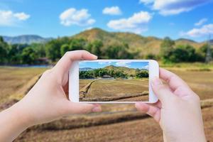 taking photo of Agricultural Farm Field