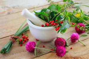 Fresh herbs in the mortar, alternative medicine photo