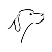 pointer dog vector sketch