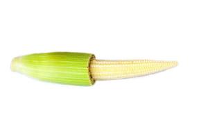 maíz tierno de cerca foto
