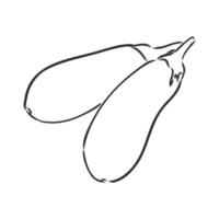eggplant vector sketch