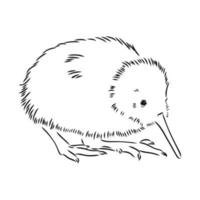 bosquejo del vector del pájaro del kiwi