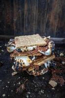 melted messy s'mores stack with toasted marshmallows photo