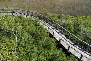 sun baked nature walkway winding through green trees and long grasses photo
