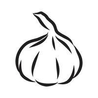 garlic vector sketch