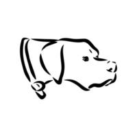 pointer dog vector sketch