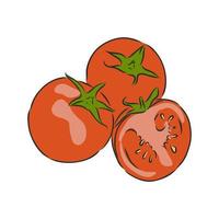 bosquejo del vector del tomate