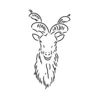 mountain goat vector sketch