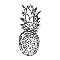 dibujo vectorial de piña vector