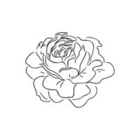 flower vector sketch