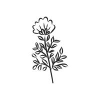 decorative flower vector sketch