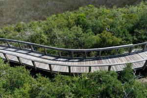 sun baked nature walkway winding through green trees and long grasses photo