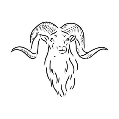 Mountain Ram Vector Art, Icons, and Graphics for Free Download