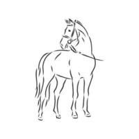 horse vector sketch