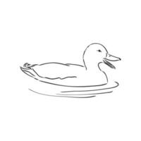 duck vector sketch