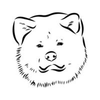 akita inu dog vector sketch