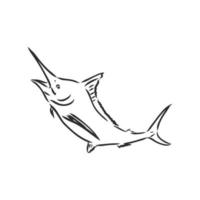 dibujo vectorial de pez marlin vector