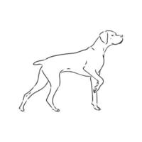 pointer dog vector sketch