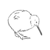 bosquejo del vector del pájaro del kiwi