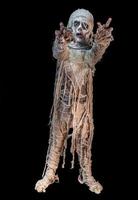 studio shot portrait of young boy in costume dressed as a Halloween, cosplay of scary mummy pose on isolated black background photo