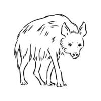 hyena vector sketch