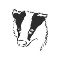 badger vector sketch