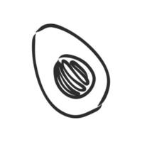 avocado vector sketch