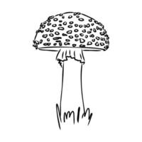 fly agaric vector sketch