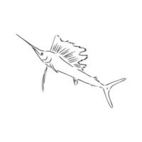 marlin fish vector sketch