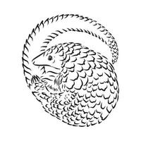 pangolin vector sketch