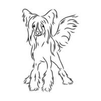 chinese crested dog vector sketch