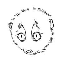 lemur lori vector sketch