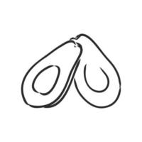 avocado vector sketch