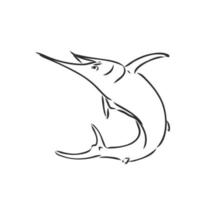 marlin fish vector sketch