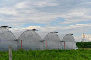 Greenhouses in Ukraine against the sky with clouds. photo