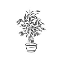 houseplant vector sketch