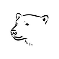 bosquejo del vector del oso polar