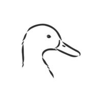 duck vector sketch