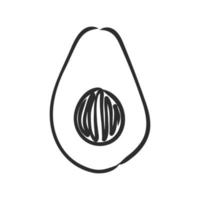 avocado vector sketch