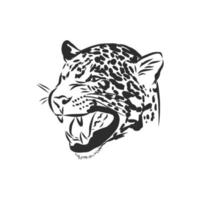 dibujo vectorial de leopardo vector