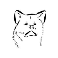 akita inu dog vector sketch