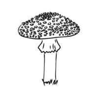 fly agaric vector sketch