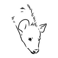 hyena vector sketch