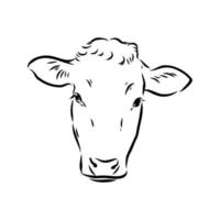 bosquejo del vector de la vaca