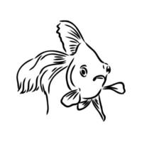 aquarium fish vector sketch