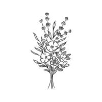 flower vector sketch